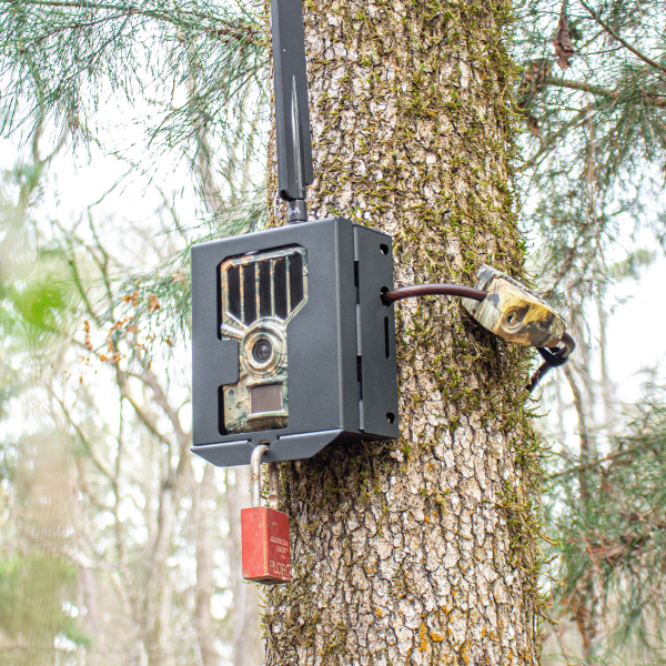 Security Box - MiniCam and DataCam - Image 3