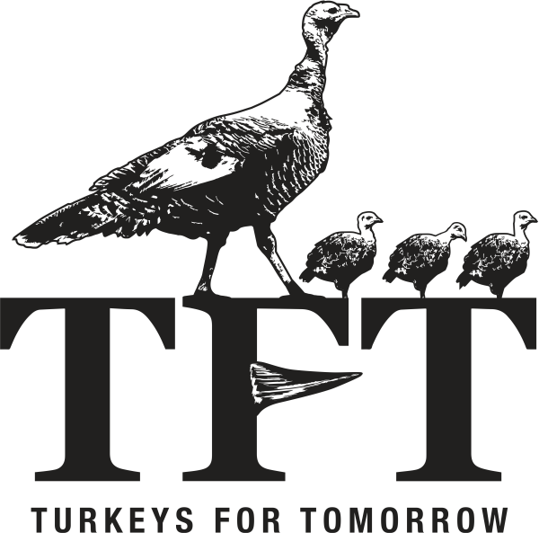 TFT Membership
